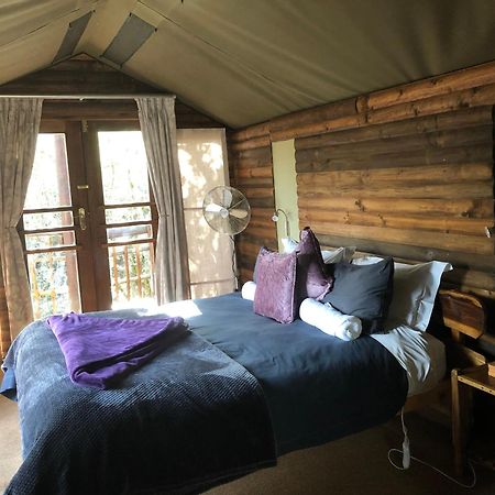 Teniqua Treetops Karatara Settlement Eksteriør bilde