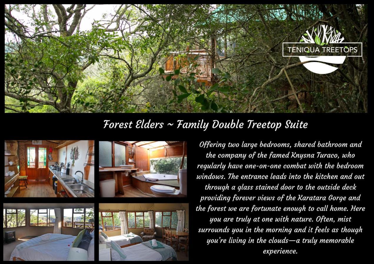 Teniqua Treetops Karatara Settlement Eksteriør bilde