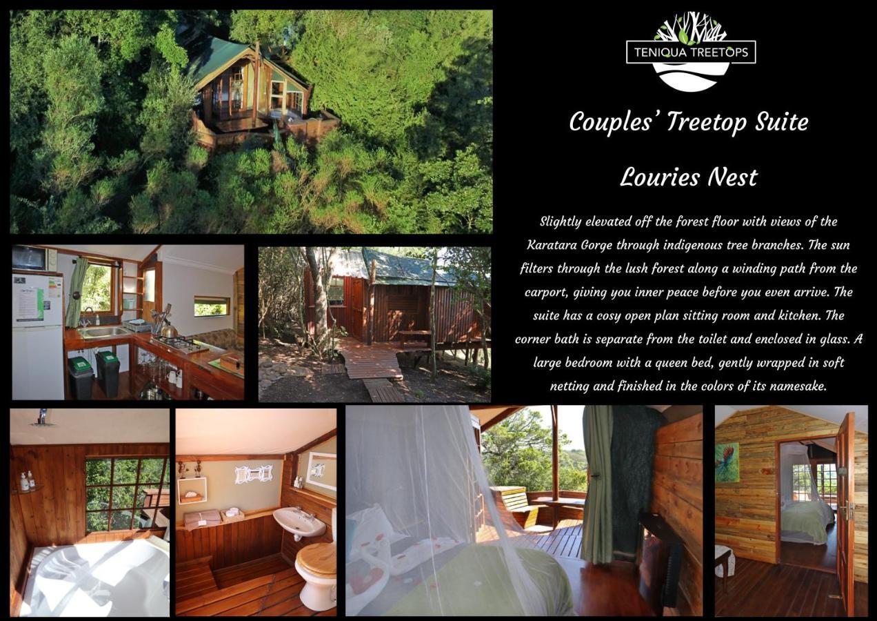 Teniqua Treetops Karatara Settlement Eksteriør bilde