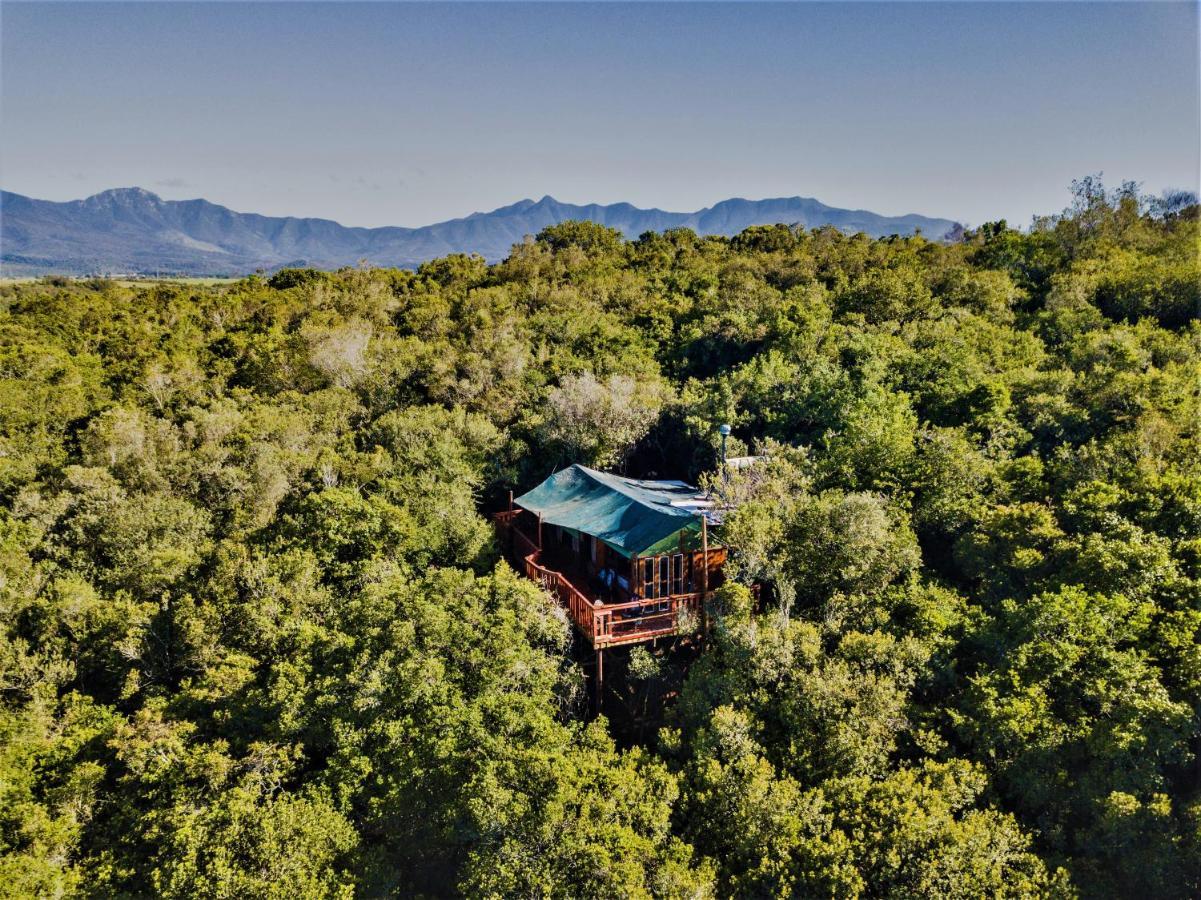 Teniqua Treetops Karatara Settlement Eksteriør bilde