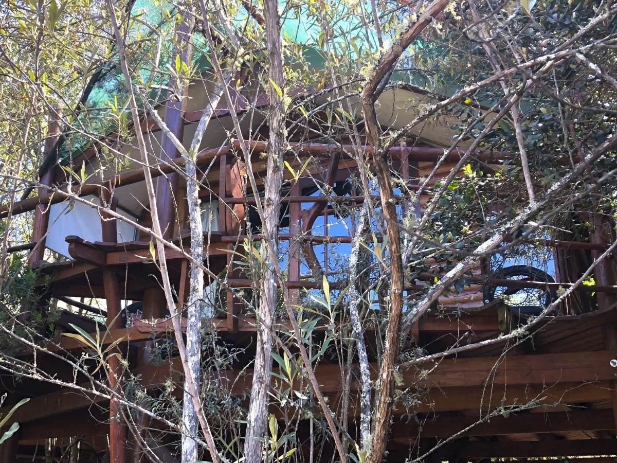 Teniqua Treetops Karatara Settlement Eksteriør bilde