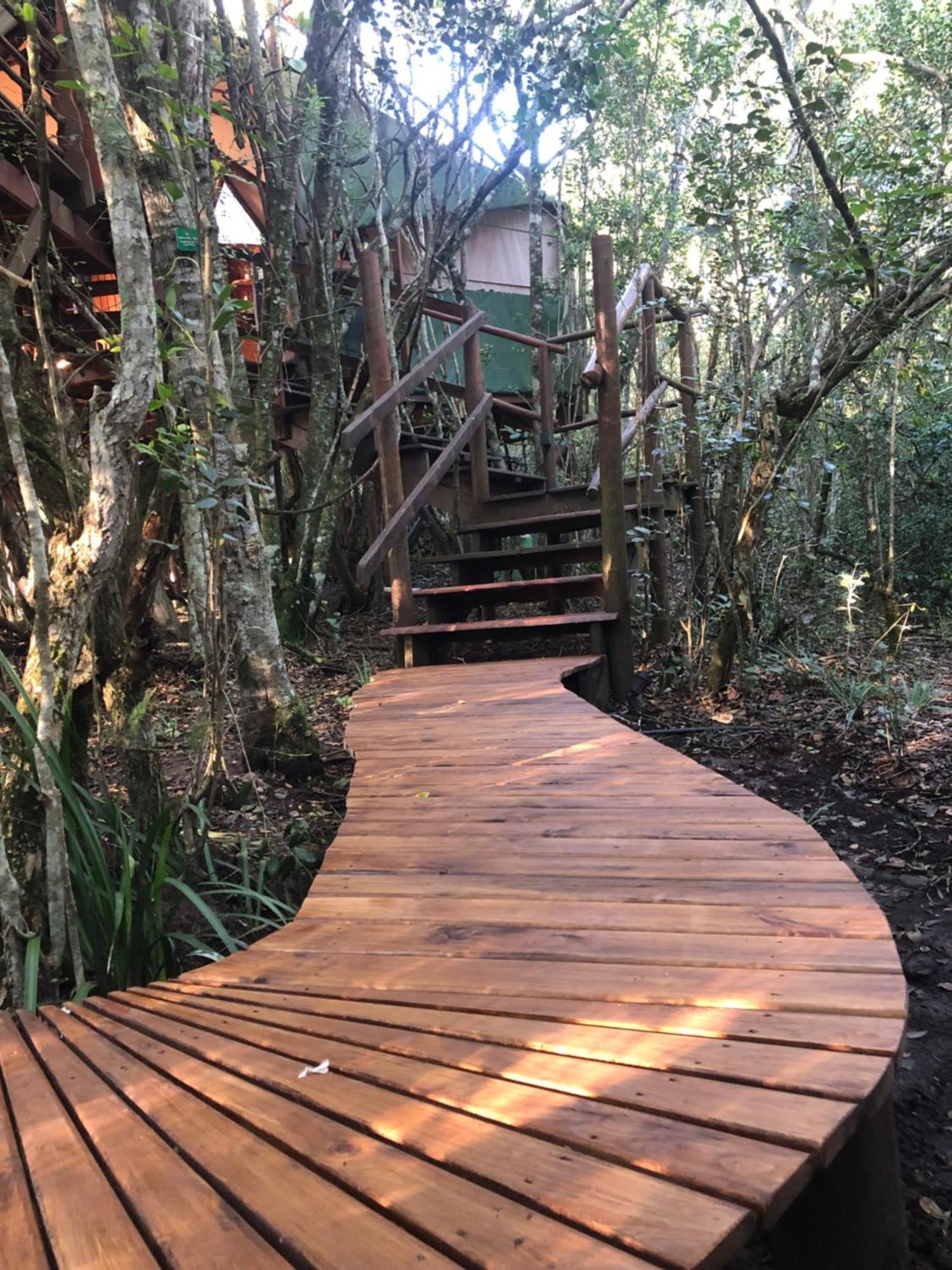 Teniqua Treetops Karatara Settlement Eksteriør bilde