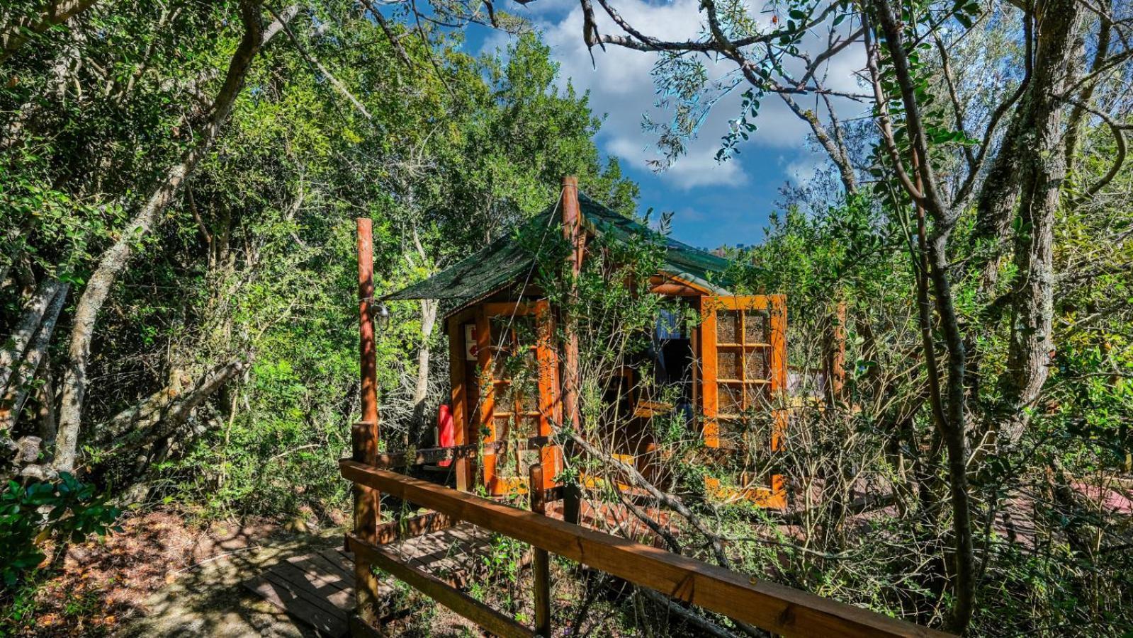 Teniqua Treetops Karatara Settlement Rom bilde