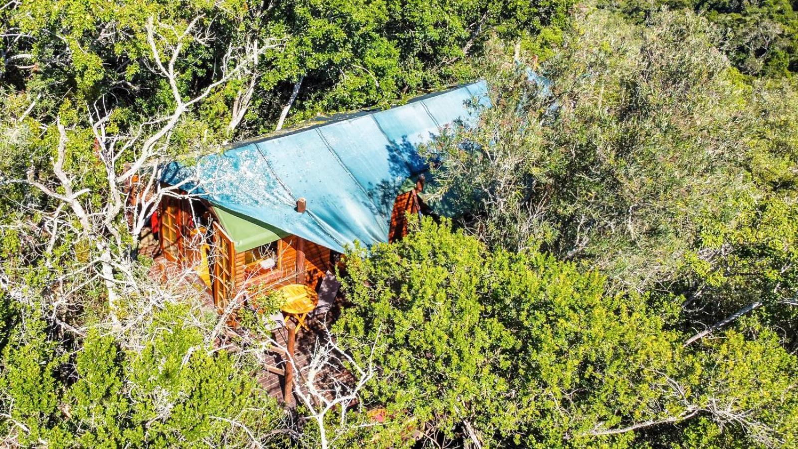 Teniqua Treetops Karatara Settlement Rom bilde